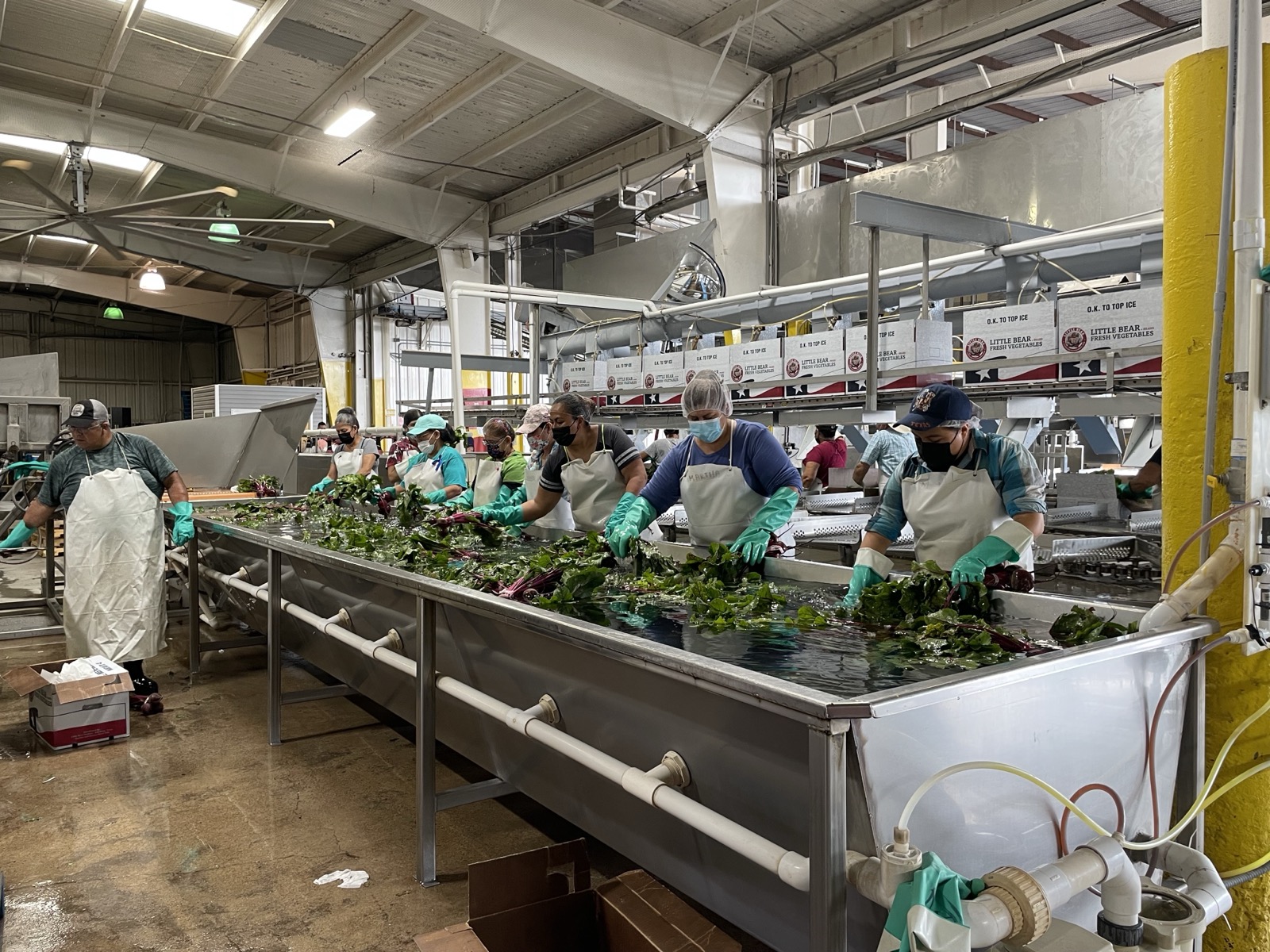 Repack line, warehouse floor