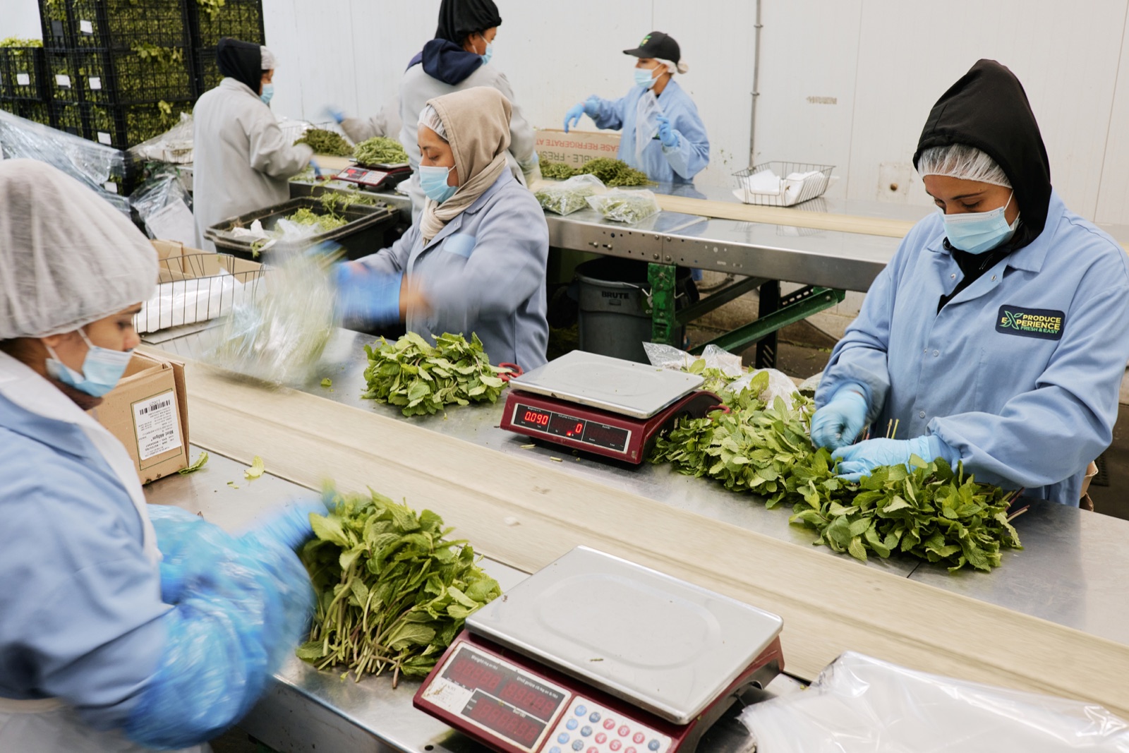Produce sorting and weighing station